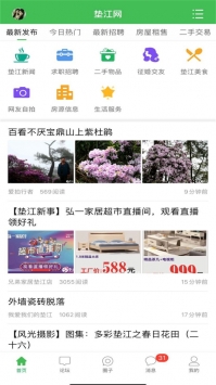 垫江论坛手机版图片2