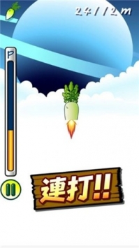 大根萝卜火箭图片2