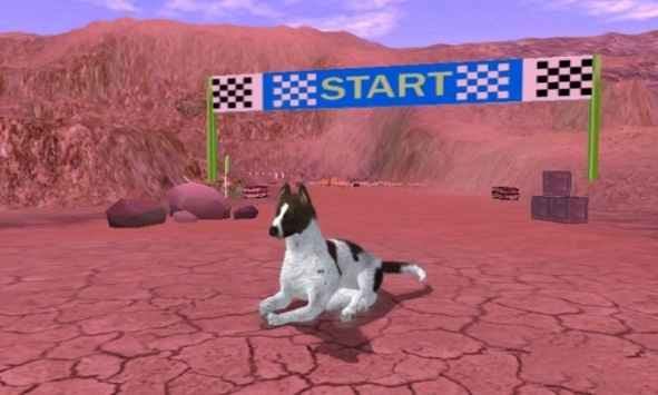 猎犬模拟器图片2