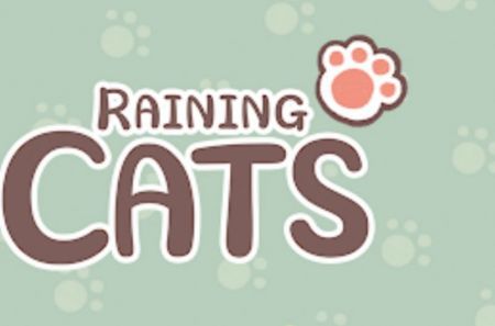 RainingCats图片2