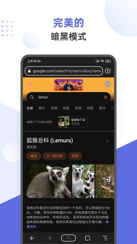 lemur狐猴浏览器安卓版截图2